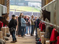 FB260322-108 - Fergal O'Brien Stable Visit